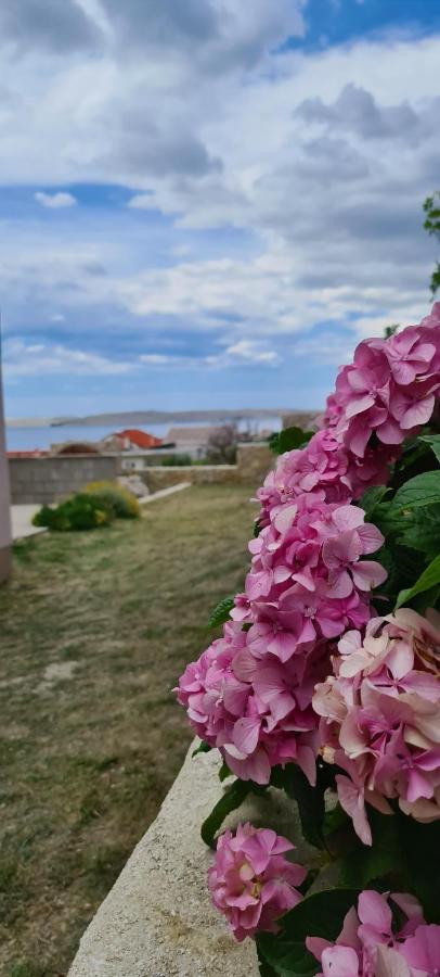 Apartmani Cesar Rtina Kültér fotó
